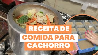 RECEITA DE SACHE CASEIRO PARA CACHORRO E GATO [upl. by Sewoll570]