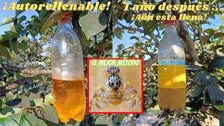 Método casero para atrapar mosca de la fruta🪰🍑ceratitis capitataMosqueros autorellenables [upl. by Joaquin]