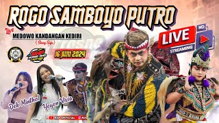 Live Jaranan Hari ini ROGO SAMBOYO PUTRO X SAFIRA AUDIO LIVE MEDOWO KANDANGAN KEDIRI [upl. by Orsay]