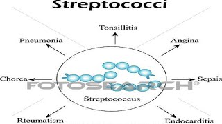 شرح محاضرة الميكرو streptococci اولى تمريض [upl. by Eikceb]