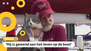 Oli de bootkat doet mee aan grote zeilrace [upl. by Frederico]