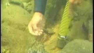 Two inch gold dredge demonstration [upl. by Norina86]