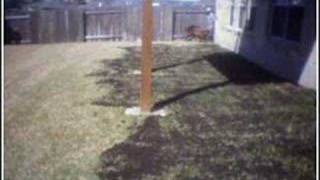 Lawn Leveling Dillo dirt top dressing Austin Texas [upl. by Bentley208]