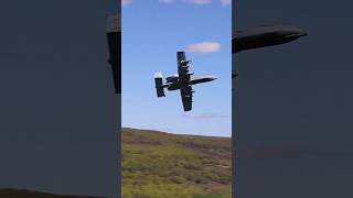 A10 Thunderbolt in Action  A10 Air Defense Training  Warthog Brrrt [upl. by Avi]