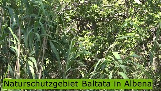 Naturschutzgebiet Baltata in Albena [upl. by Williamsen]