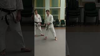 Nijushiho kata effective bunkai nr 4 and nr 5 shorts [upl. by Tama]