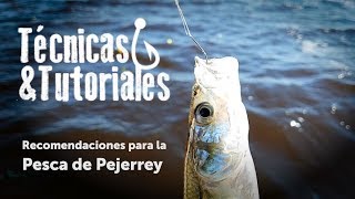 Técnicas y Tutoriales de pesca  Recomendaciones Para la pesca de Pejerrey  Brazoladas [upl. by Cedar]