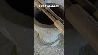 石段巡礼！女厄坂・男厄坂を登る【四国遍路】厄除けの名所！薬王寺で心身浄化の旅！【旅行VLOG、レビュー】 薬王寺 徳島県 美波町 四国八十八ヶ所霊場 日和佐 [upl. by Ididn]