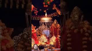 Maa bhakti div Vaishno Devi viralvideo maavaishnavdevi [upl. by Enahs]