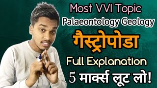 Gastropoda Full Explanation  Marphological Feature of Gastropoda  गैस्ट्रोपोडा  Palaeontology [upl. by Lister577]