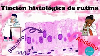 Infografía  Tinción HematoxilinaEosina  Técnica de rutina [upl. by Aborn]