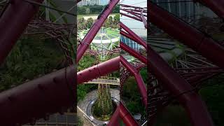 Garden by the Bay Supertrees Supertree Grove and Observatory Singapore March 2024 supertreegrove [upl. by Ermentrude324]