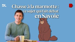 Chasse à la marmotte  l’autoriser ou l’interdire totalement le sujet qui fait débat en Savoie [upl. by Suivatco725]