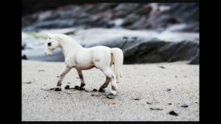 Realistic Schleich Horse Photos [upl. by Liek]