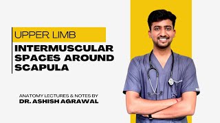 Intermuscular Spaces  Upper Limb Anatomy First Year MBBS  Anatomy lectures by Ashish [upl. by Sokram612]