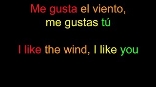 Manu Chao “Me gustas tú” lyrics in Spanish  English [upl. by Nordna]