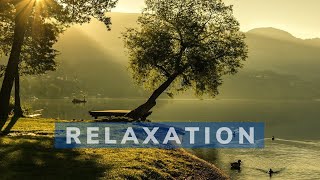 Musique Relaxante Anti stress 30 minutes Calmer lanxiété naturellement [upl. by Erimahs693]