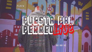 Puesta Pal´ Perreo  Fer Ariza En Vivo [upl. by Albers]