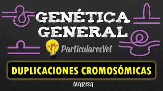 DUPLICACIONES CROMOSÓMICAS  Repaso de Genética  MUTACIONES ESTRUCTURALES [upl. by Fleeta]