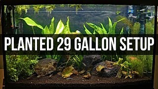 Planted 29 Gallon Setup [upl. by Dodi]