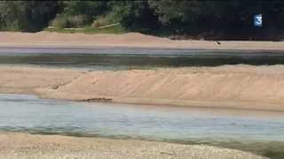 Baignade en Loire attention danger [upl. by Akinahc]