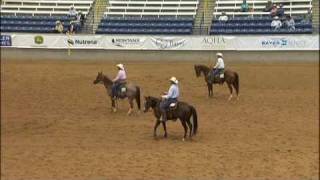 2009 AQHA Bayer Select World Show  Tommy Bale and Remedy and Rey  Team Penning Finals [upl. by Golter]