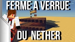 FERME A VERRUE DU NETHER  Les minituto dErwin 6 [upl. by Helyn451]