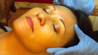 Permanent Makeup Hairstroke Eyebrows 2MOV [upl. by Aikem]