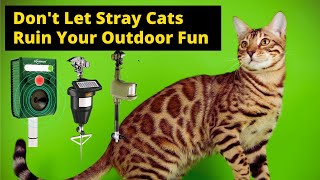 Best Outdoor Cat Repellent Dont Let Stray Cats Ruin Your Outdoor Fun [upl. by Annadal]