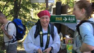 Koyasan MtKoya  Shikoku Pilgrimage [upl. by Noyad875]