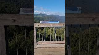 Skywalk  Dorrigo National Park dorrigo scenery rainforest [upl. by Warthman122]