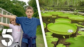 The Giant Lily Pad  Kew Gardens Season By Season  Channel 5 [upl. by Etnwahs]