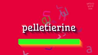 How to say quotpelletierinequot High Quality Voices [upl. by Wakeen]