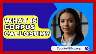 What Is Corpus Callosum  CountyOfficeorg [upl. by Constance]