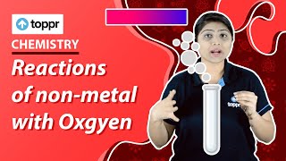 Reactions of nonmetal with oxygen  Chemical properties of nonmetals  Class 12 Chemistry [upl. by Laven]