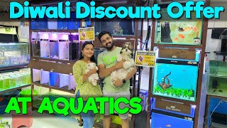 AT Aquatics Shares Top Diwali Discount Fish Stock Picks [upl. by Einittirb951]