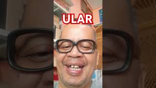 BINATANG APA YANG PALING JAGO jokesbapakbapak tebakanhumor [upl. by Felipe]