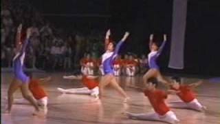 NITTAIDAI Gymnastics Club  Short Video 11th World Gymnaestrada 1999 [upl. by Yorker]