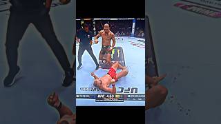 Unbelievable UFC 303 Pereira TKO😱💥🥊 shorts [upl. by Valaree641]