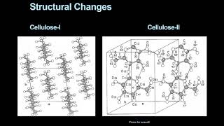 Mercerization for cotton Effects and Properties [upl. by Dorian]