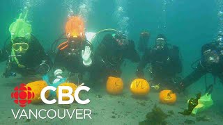 Underwater pumpkincarving in Greater Victorias Esquimalt Lagoon [upl. by Akili]