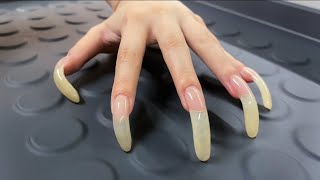 ASMR Tapping amp Scratching with my LONG NATURAL NAILS🐱🐾 [upl. by Leunamme]