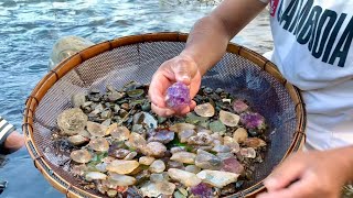 Find natural gemstone in river Amethyst crystal quartz part613 [upl. by Anaeirb99]