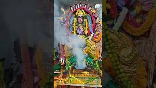 Dasara Special Darshanam Pratyingira Devi🙏 pratyangiradevi swetavasuki navaratri viralvideo [upl. by Atikim]