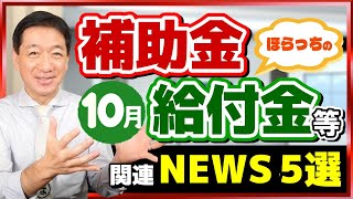 【秋の給付金、児童手当の拡充、NHKネット受信料1100円に！など～10月度 補助金・給付金ニュース５選】最低賃金、過去最大の引上げ ユニークな自治体の助成金 厚労省支援策 （24年10月時点） [upl. by Dorcas]