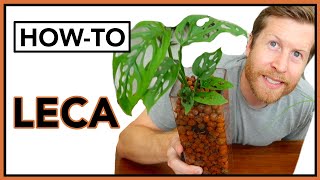 LECA Basics for Beginners  LECA 101 Semi Hydroponics  How To Ep 25 [upl. by Amadeus673]