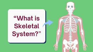 Musculoskeletal SystemScience Grade 4Matatag CurriculumQ2W1Day 1 amp Day 2 [upl. by Danuloff349]