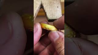 Crafting a Pure Gold Masterpiece The Art of Handcrafted Rings shorts goldringsdesign [upl. by Rambort]