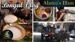 Maadi Thottam kaikarigal  fresh vegetables homegaren youtubeshorts memories [upl. by Edgell374]