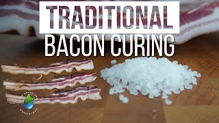 How To Cure Bacon the Traditional Way Just Salt No Artificial Preservatives [upl. by Tebor351]